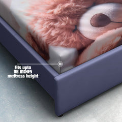 Teddy Dream 7D Cotton Fitted Bedsheet (90x100 inch) King Size